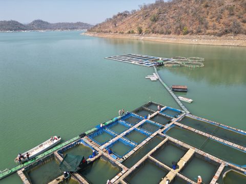 Illustrative fish farming photograph; not ZEUS assets or personnel